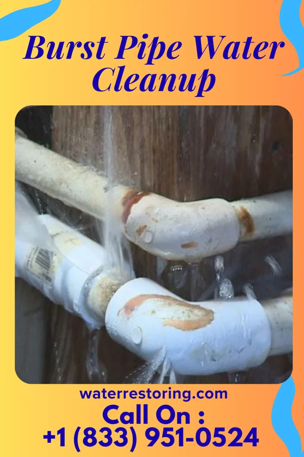 Burst Pipe Water Cleanup in Seelyville, IN