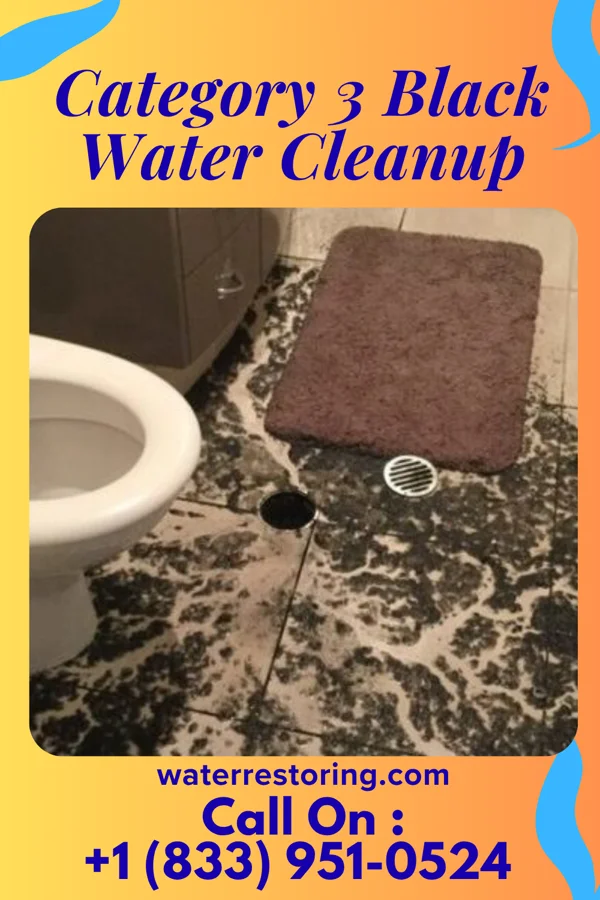 Category 3 Black Water Cleanup in Seelyville, IN