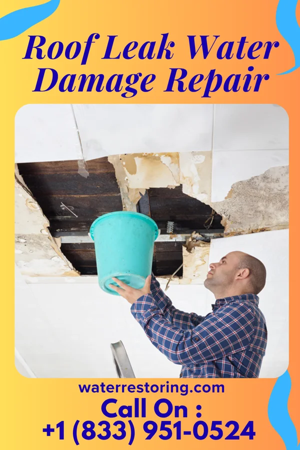 Roof Leak Water Damage Repair in Seelyville, IN