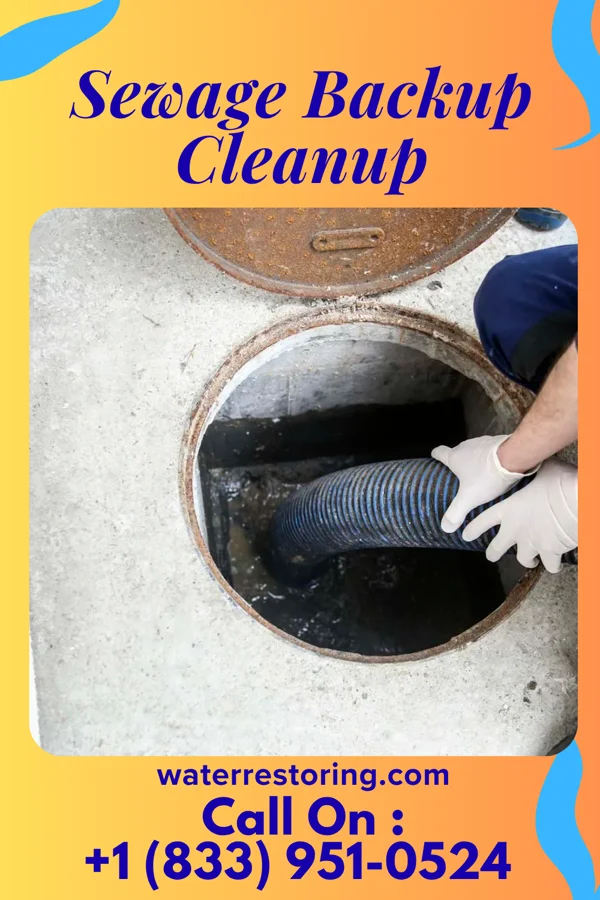 Sewage Backup Cleanup in Seelyville, IN
